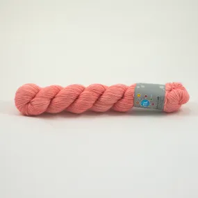 Comfy Merino - Watermelon